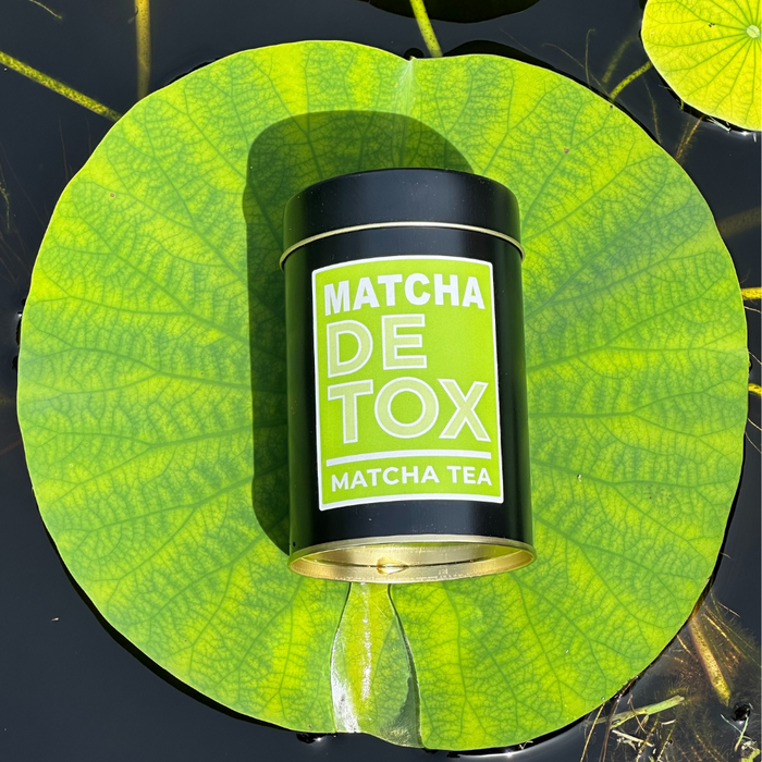 Matcha Detox - Té Verde con Matcha, Jengibre y Cascaritas de Limón - planta